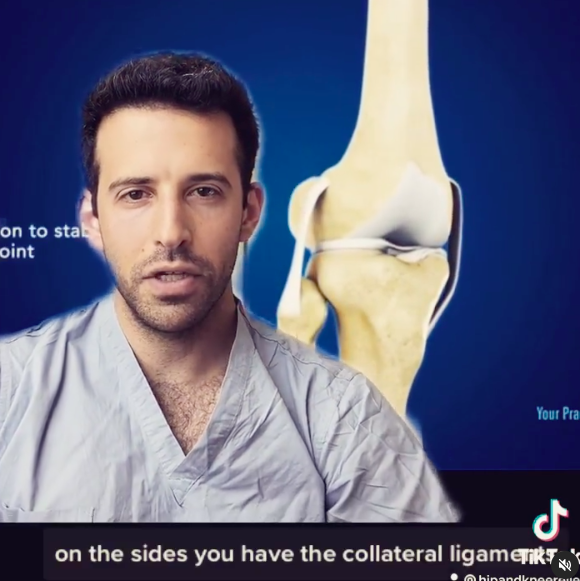 Knee ligament anatomy total knee replacement
